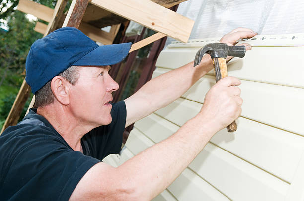 Best Historical Building Siding Restoration  in Park City, TN